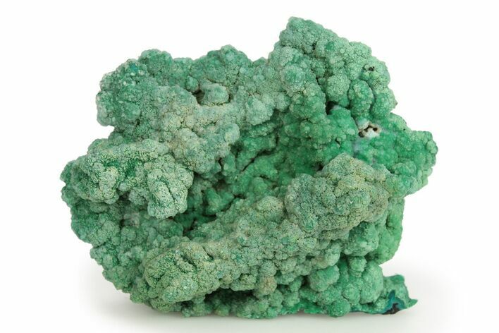 Striking Green Conichalcite with Chrysocolla - Namibia #244383